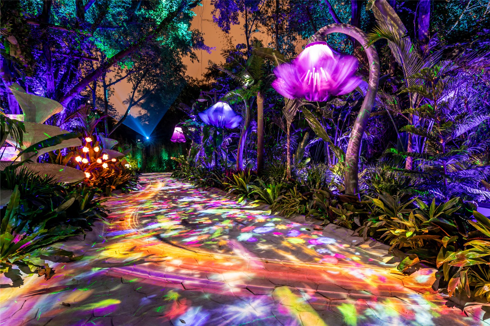 Chimelong Safari Park Night Tour-guangzhou